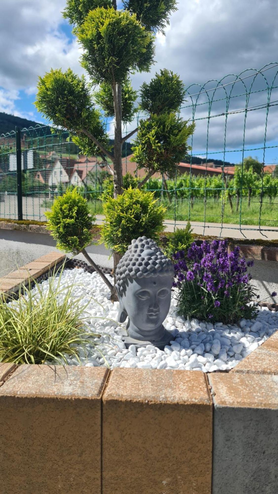 Au Jardin D'Edel Gites Centre Alsace Dieffenthal Esterno foto